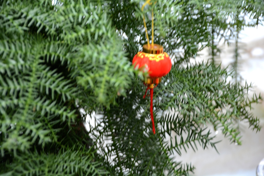 DSC_1236.JPG