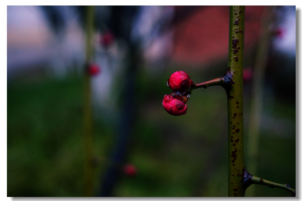 nEO_IMG_DSC03235.jpg