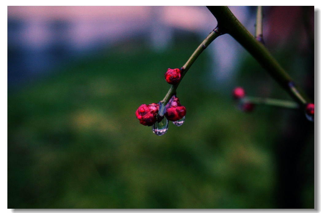 nEO_IMG_DSC03234.jpg