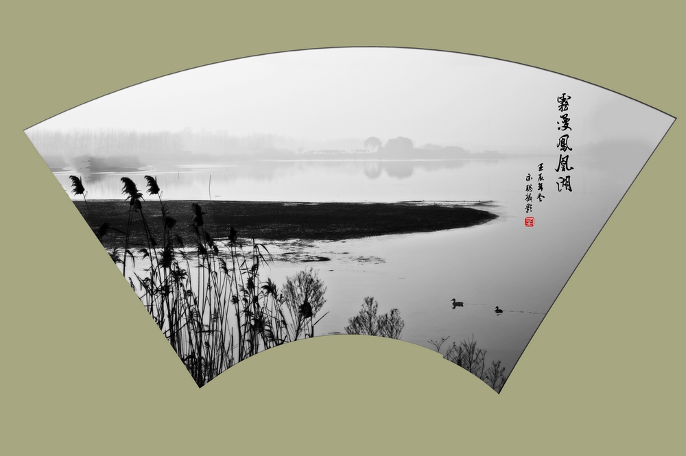 2摄于丹阳凤凰湖.jpg