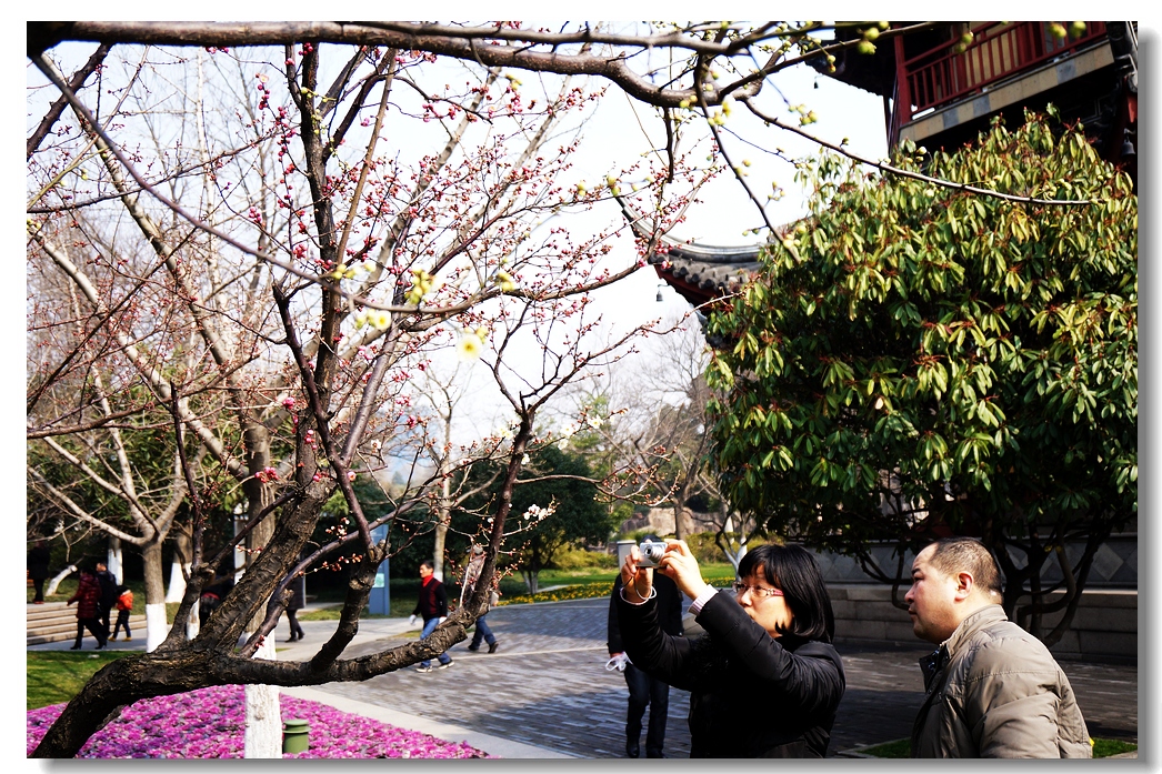 nEO_IMG_DSC03533.jpg