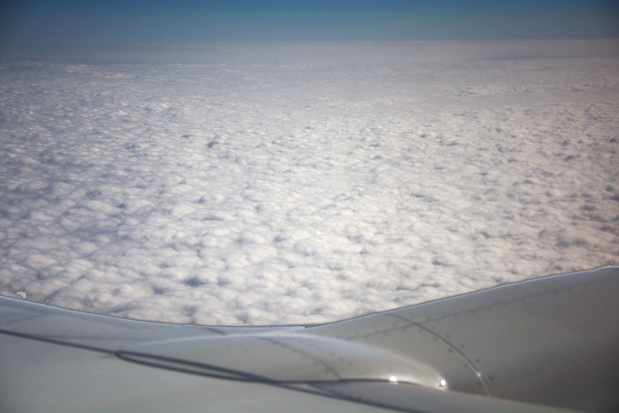 DSC_3351.JPG