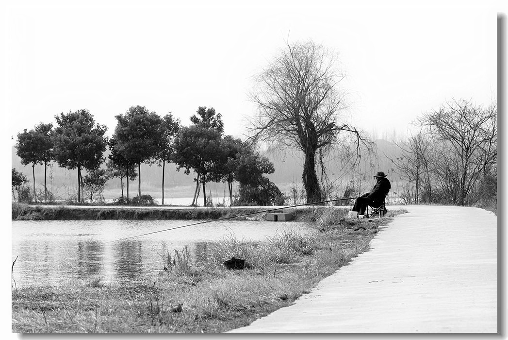 _MG_5290.JPG