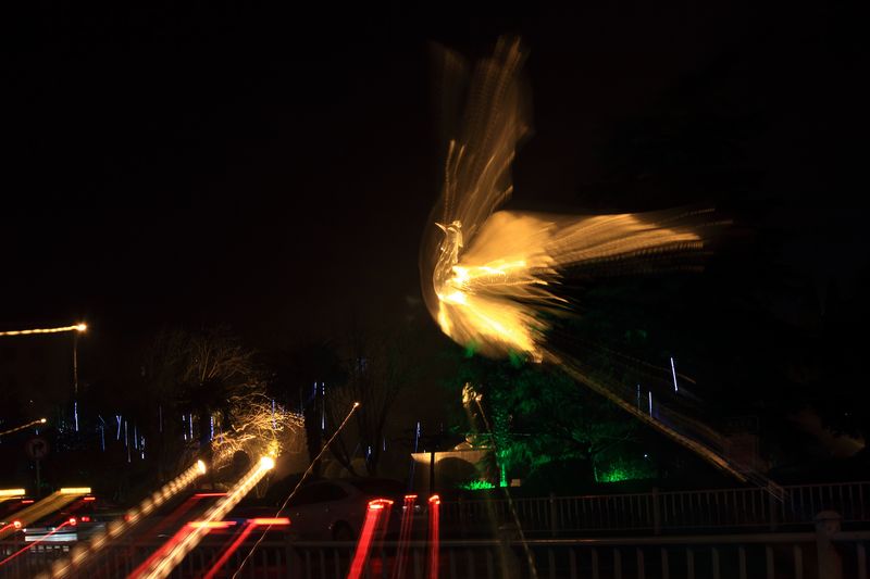 _MG_5674.JPG