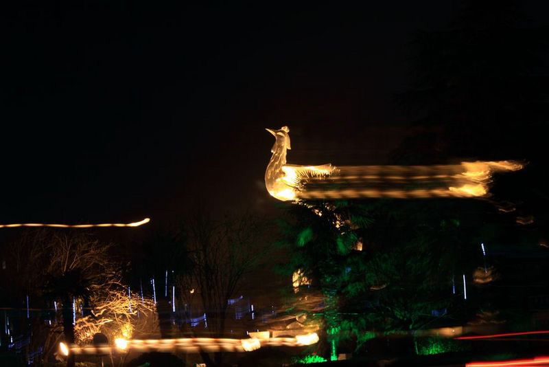 _MG_5682.JPG