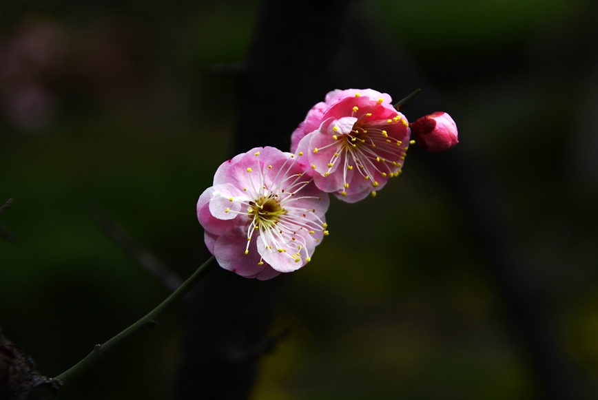 DSC_0844.JPG