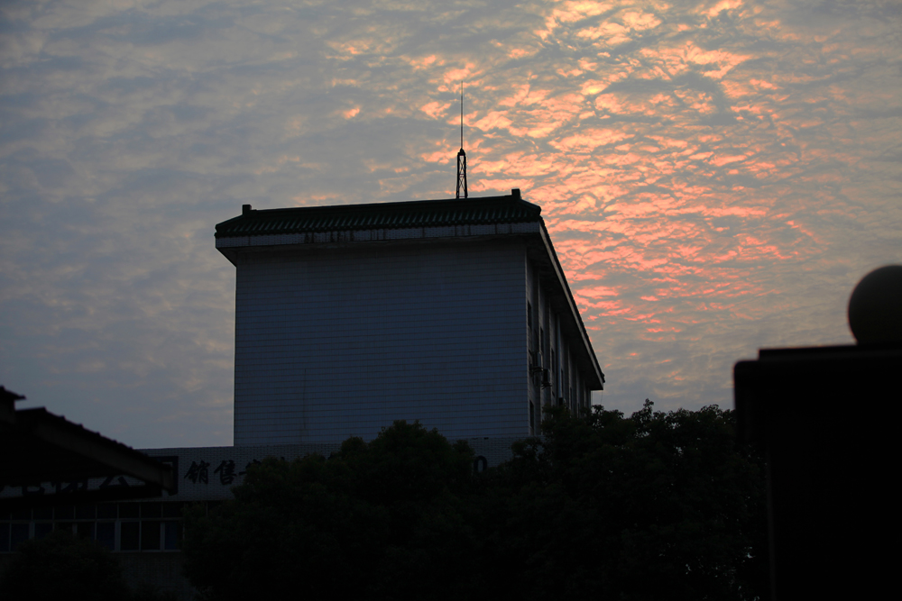 IMG_3225.JPG