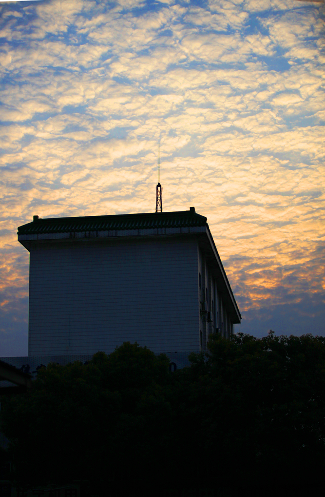 IMG_3230.JPG