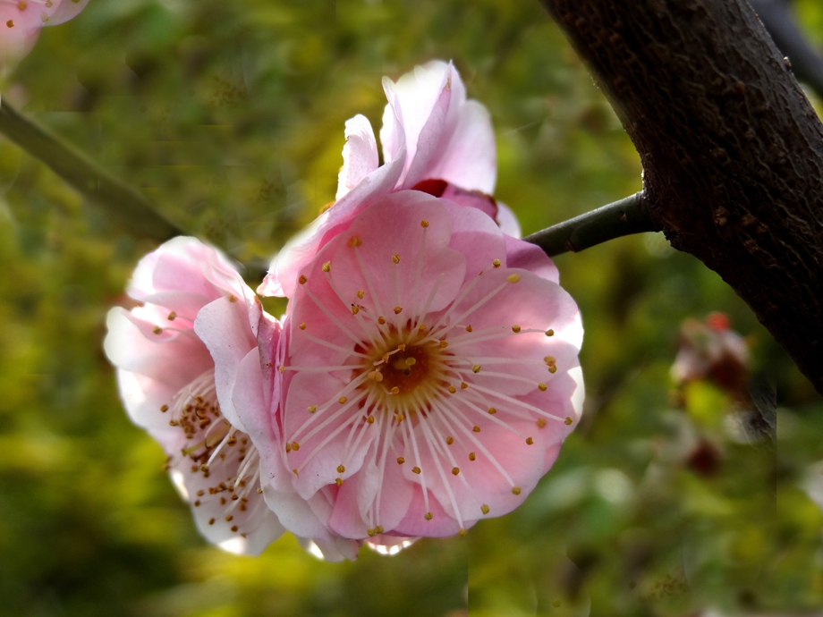 DSC01026_副本_副本.jpg