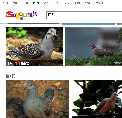 QHD2Q~2YF]O[SMKY`LMFGPW.jpg