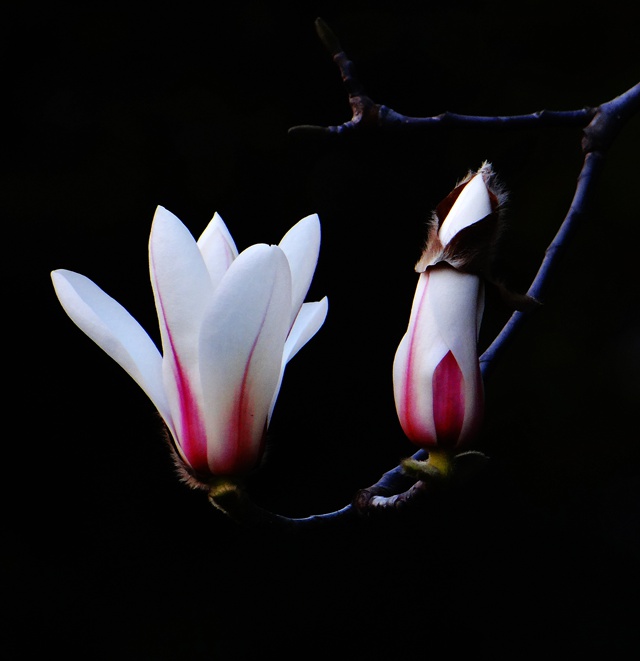 DSC04835_副本.jpg