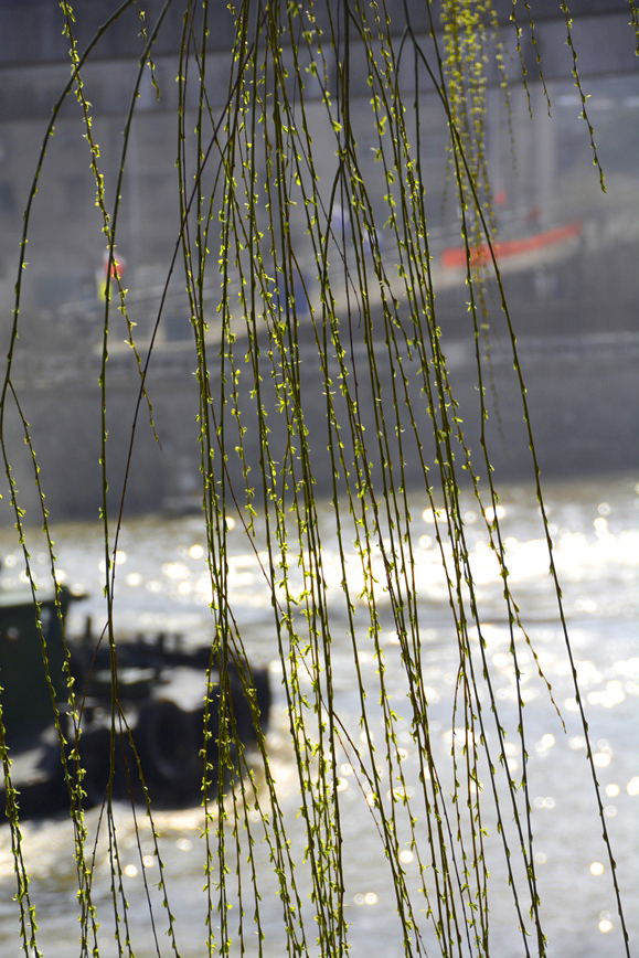 DSC_1044.JPG