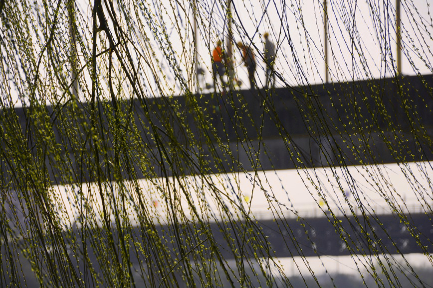 DSC_1046.JPG