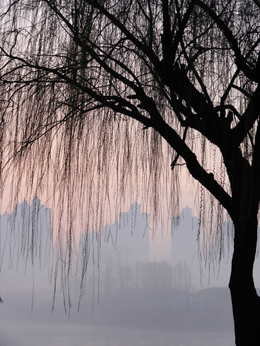 DSC01108_副本_副本.jpg