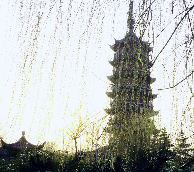 DSC08412.JPG