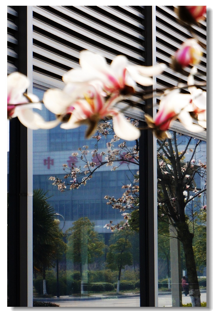 nEO_IMG_DSC03943.jpg