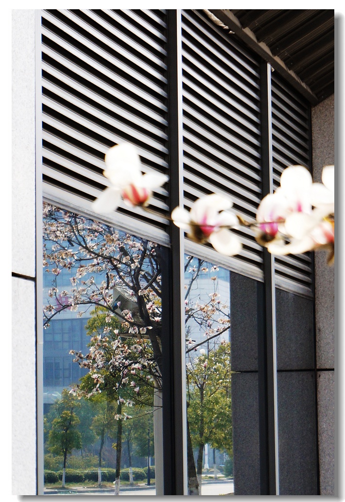 nEO_IMG_DSC03941.jpg