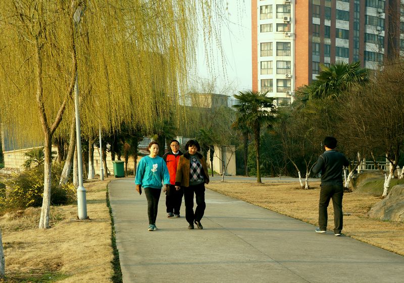 DSC08423.JPG