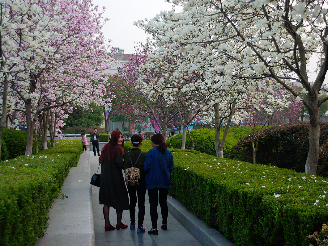 IMGP8764_留恋.jpg