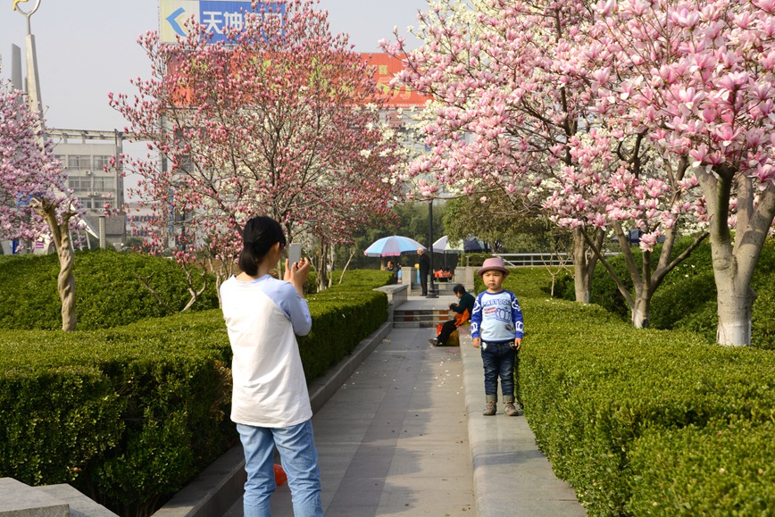 DSC_1639.JPG