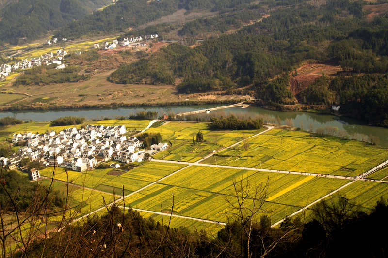 206.jpg