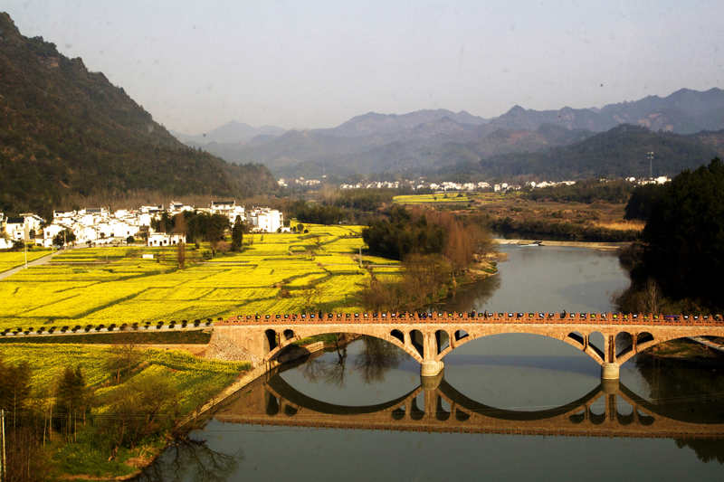 207.jpg
