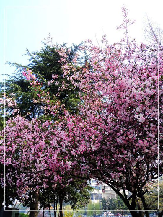 DSC03843_副本.jpg