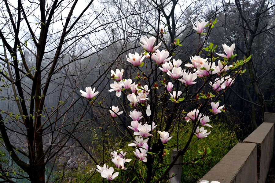 DSC_0028_副本.jpg