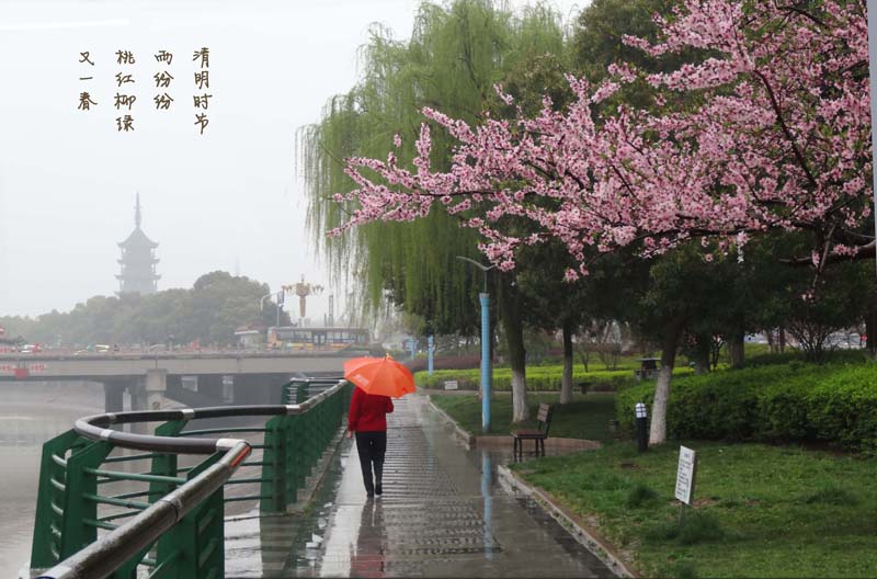 春雨.jpg