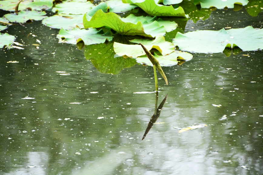 DSC_5615.JPG