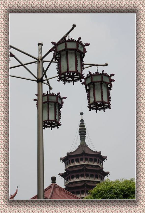 DSCN2406_副本.jpg