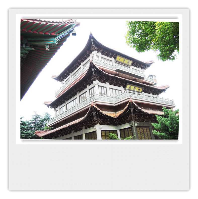 DSCN2390_副本_副本.jpg