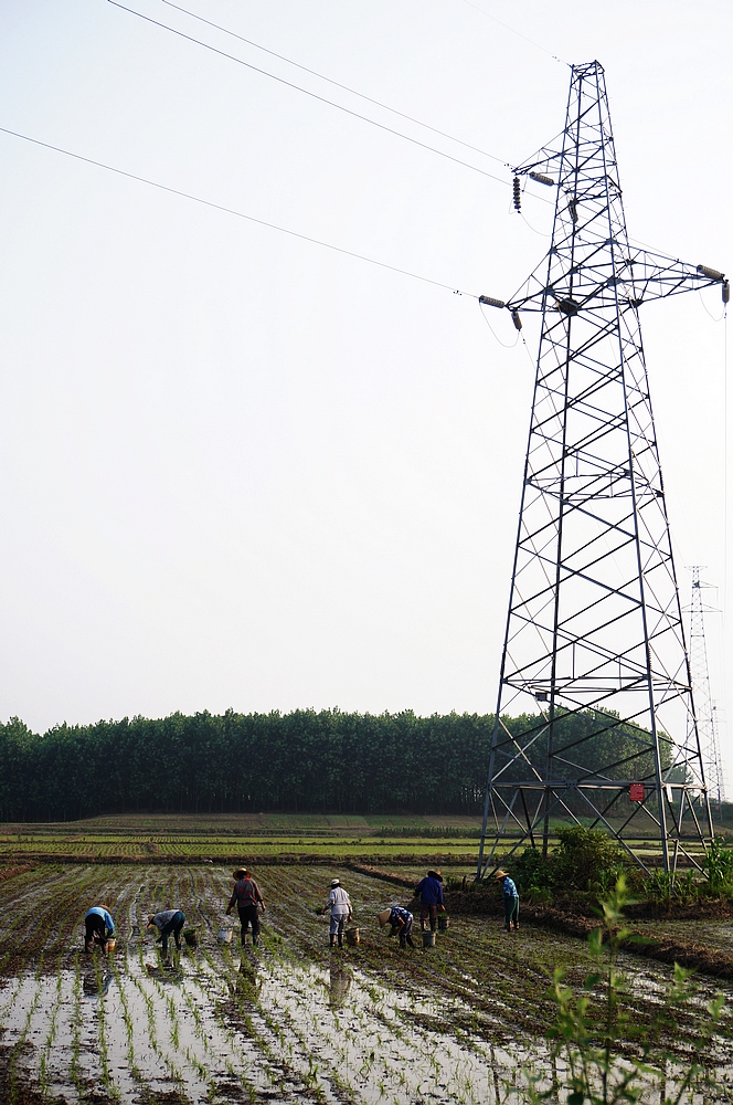 nEO_IMG_DSC07030.jpg
