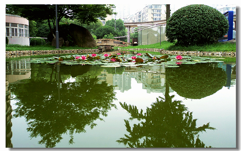 03.JPG