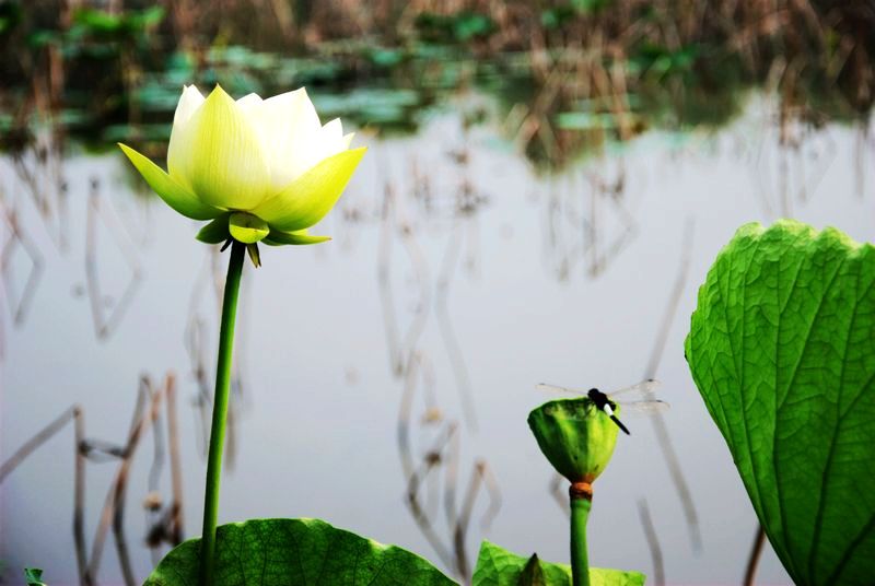 DSC_0259_光影_1.jpg