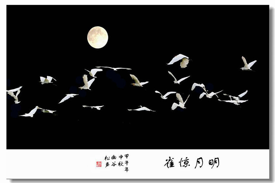 惊雀02.jpg