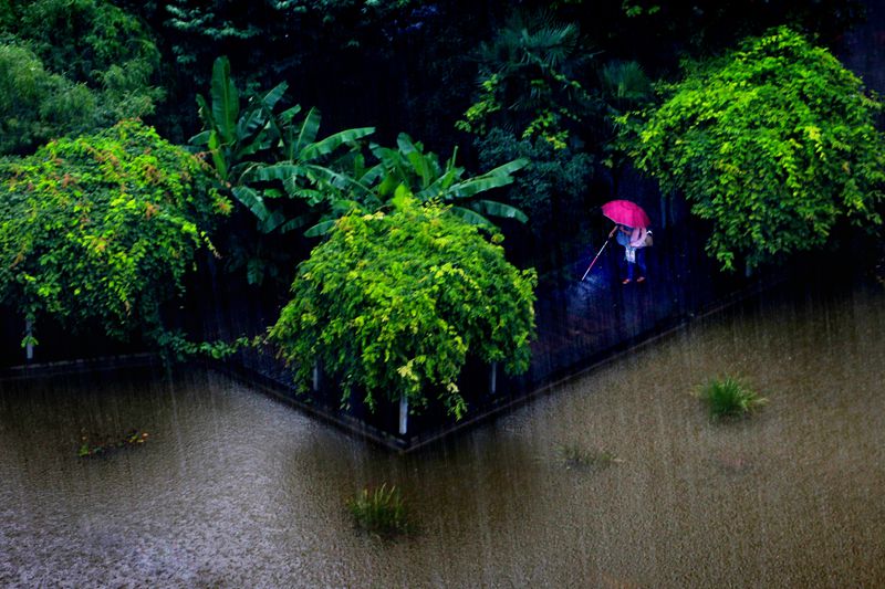 雨中情.jpg