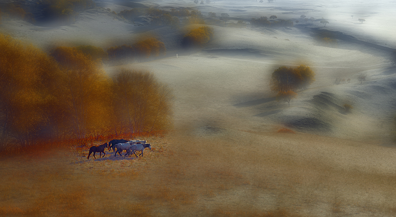 _TH02119 a.jpg