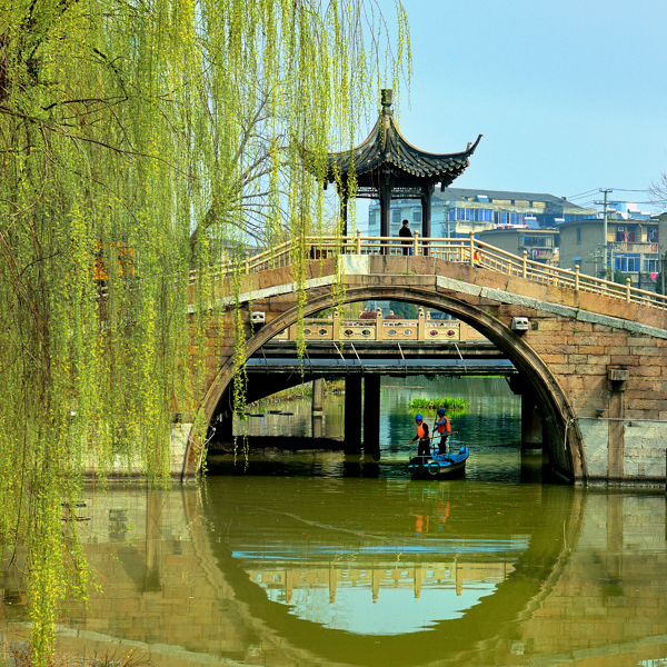 1.春风杨柳万千条（组照一）.jpg