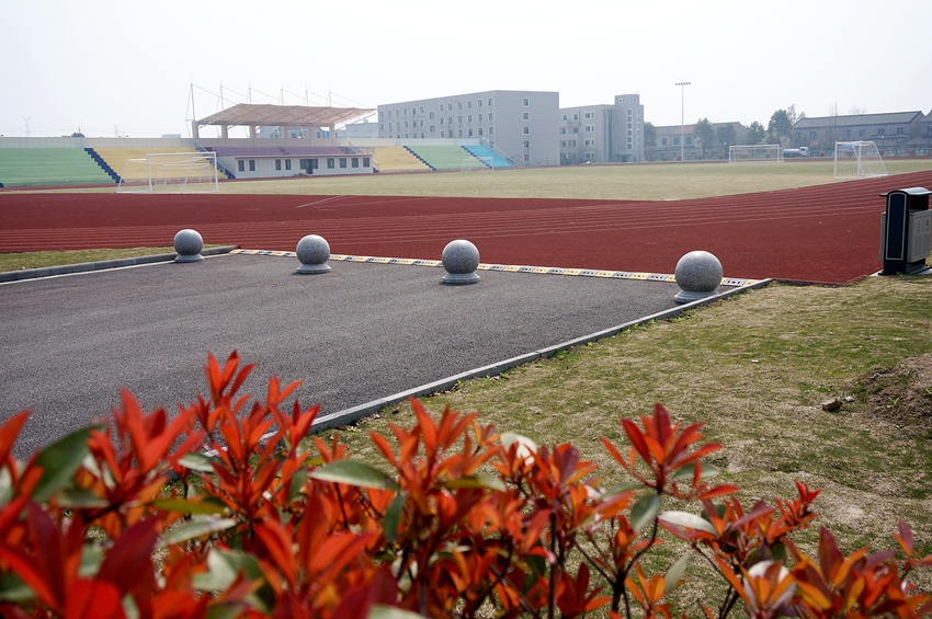 05.jpg