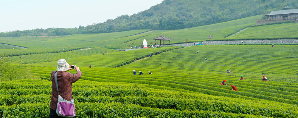 山川农场全景图1.jpg