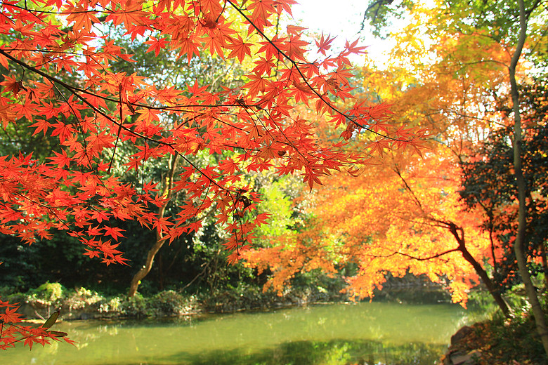 杨堤景行10.jpg