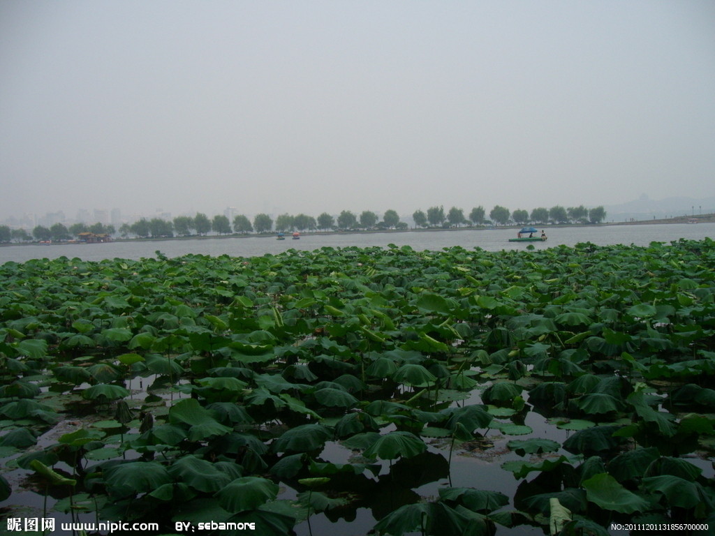 湖边晴雨30.jpg