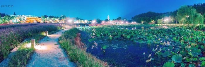 乌镇莲花池夜景.jpg