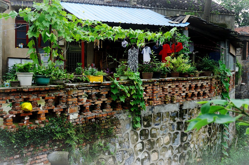 夏日-後院_副本.jpg