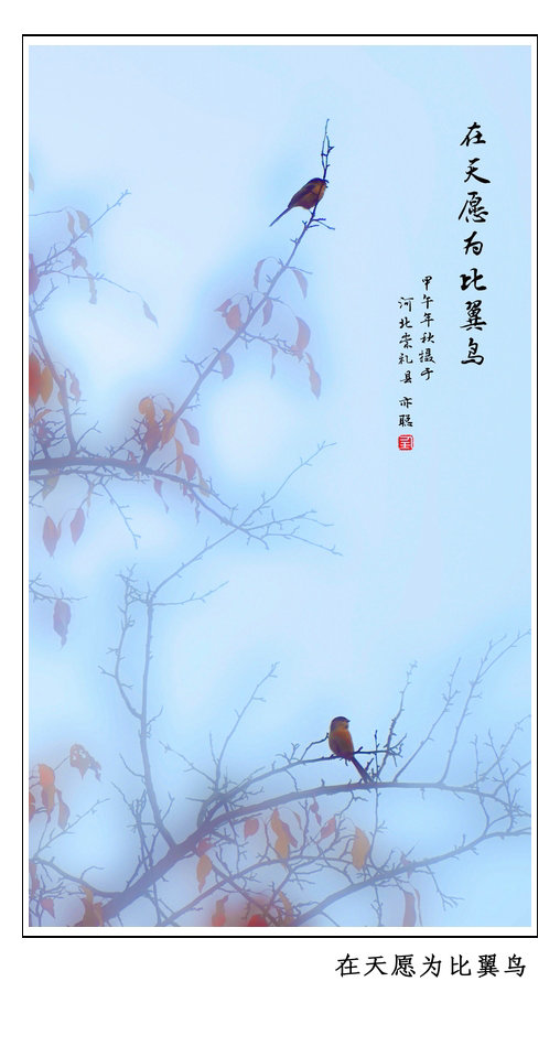 在天愿为比翼鸟 拷贝.jpg