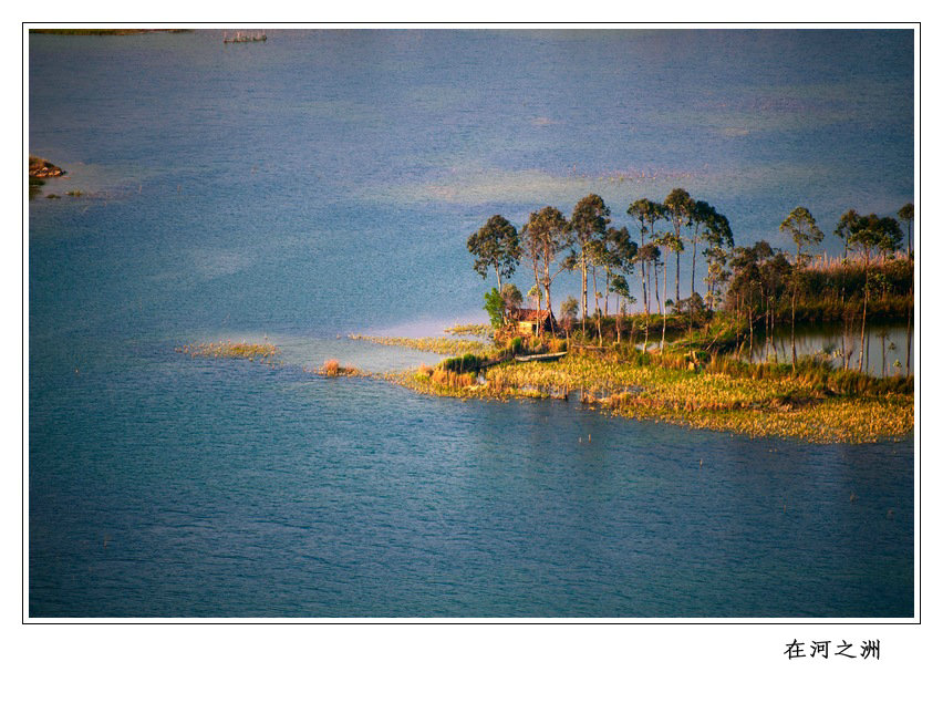 在河之洲.jpg