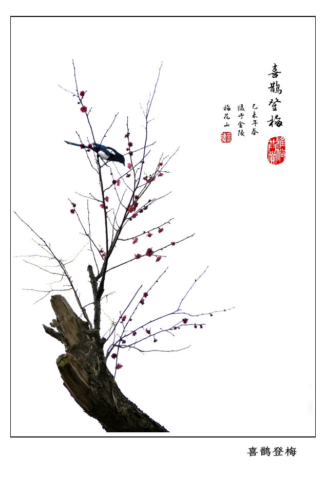 喜鹊登梅.jpg
