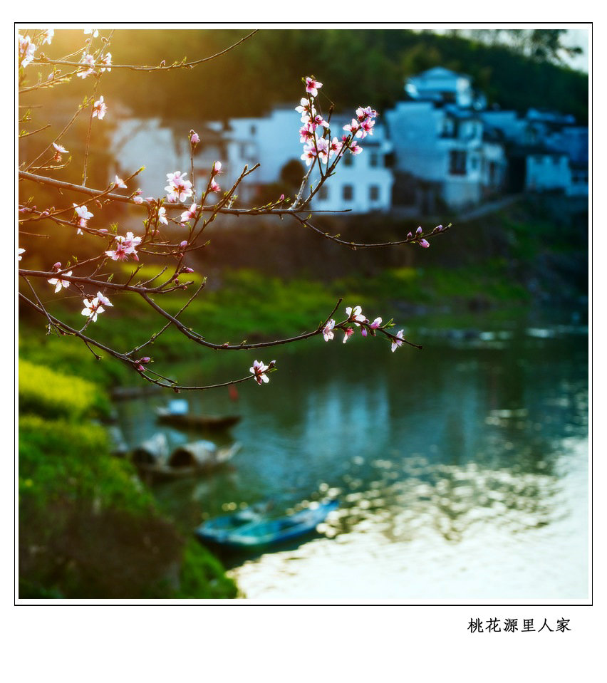 桃花源里人家.jpg