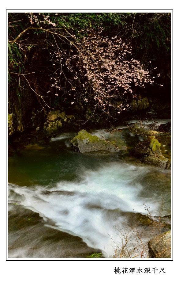 桃花潭水深千尺.jpg